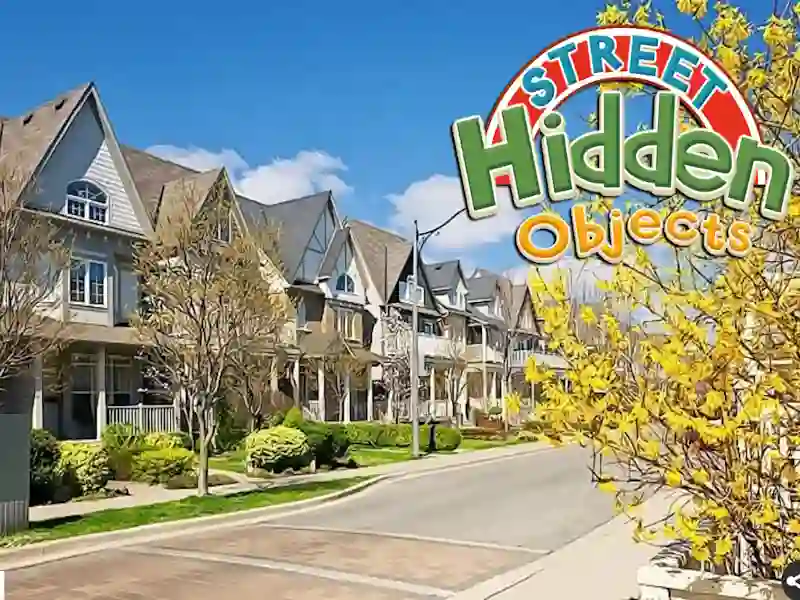 Igra Street Hidden Objects spletu