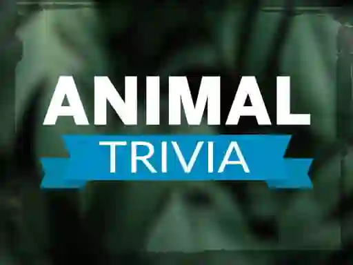 Igra Animal Trivia spletu