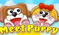 Igra Meet Puppy spletu
