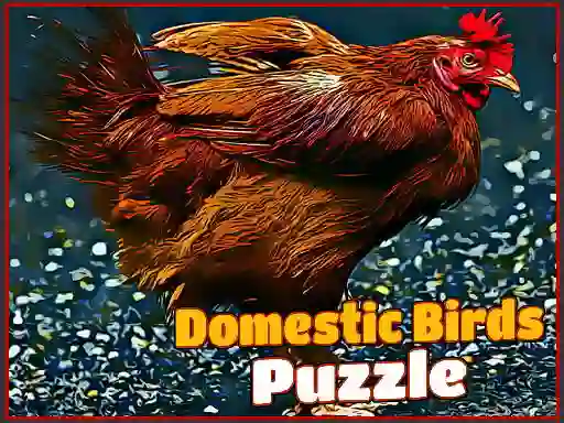 Igra Domestic Birds Puzzle spletu