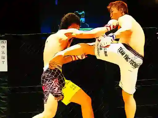 Igra UFC Fighting Match Jigsaw spletu