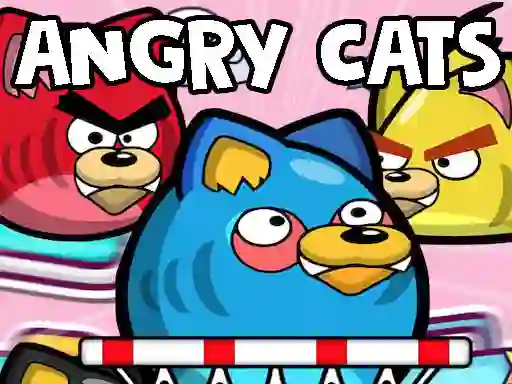 Igra Angry Cats spletu