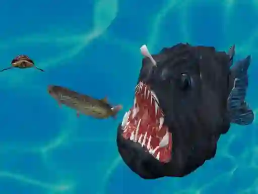 Igra Fish 3d spletu