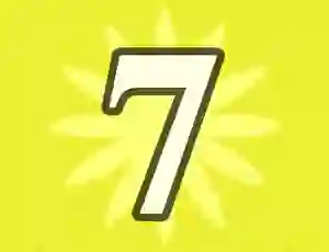 Igra Number 7 spletu