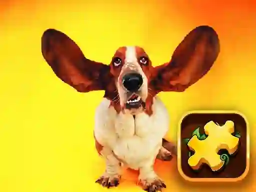 Igra Funny Dogs Puzzle spletu