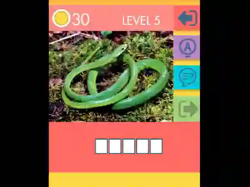 Igra 15 Picture Quiz spletu