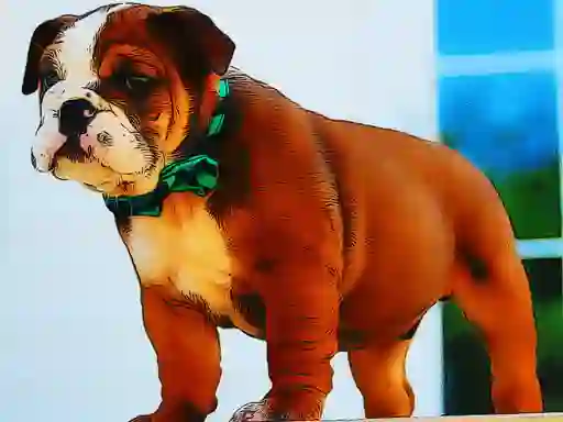 Igra Bulldog Puppy Puzzle spletu