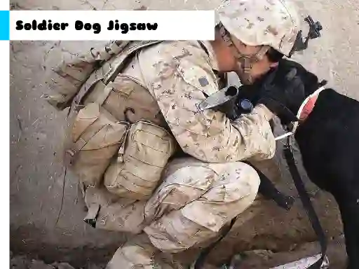 Igra Soldier Dog Jigsaw spletu