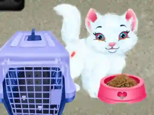 Igra Baby Taylor Pet Care spletu
