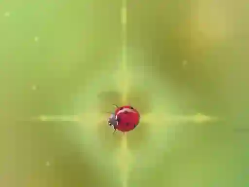Igra Pest Control spletu