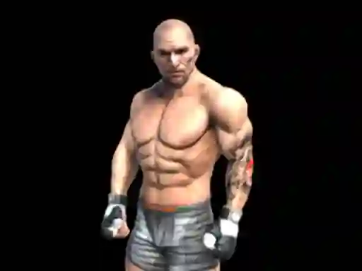 Igra Fight Arena Online spletu