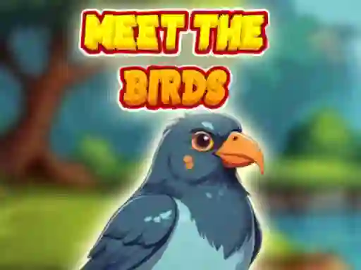 Igra Meet The Birds spletu