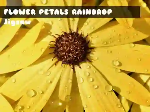 Igra Flower Petals Raindrop Jigsaw spletu