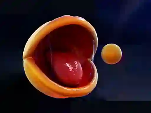 Igra Pac-Man spletu