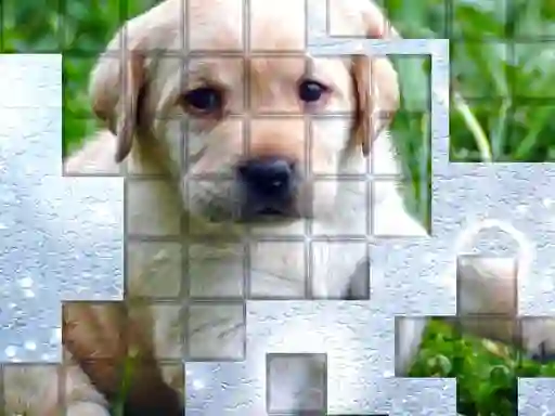 Igra PicPu Dog spletu