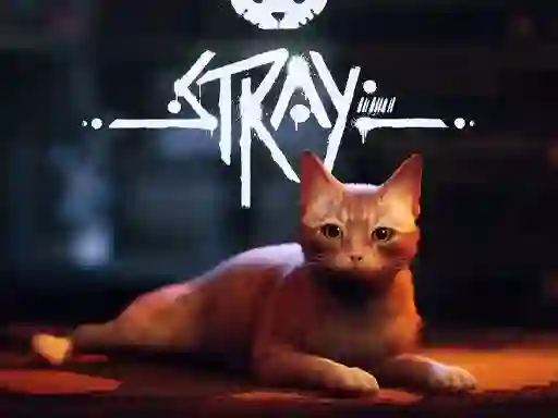 Igra Stray spletu