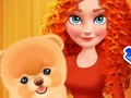 Igra Merida Pet Care Salon  spletu