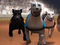 Igra Greyhound Racing spletu