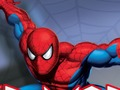 Igra Spider Warrior spletu