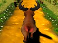 Igra Pobegnil Bull  spletu