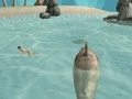 Igra Simulator morskega psa morilca spletu