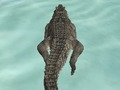Igra Krokodil Simulator Beach Hunt  spletu