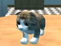 Igra Mačja simulator: Kitty Craft! spletu