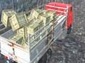 Igra Offroad tovornjak voznik  spletu