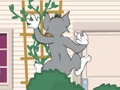 Igra Tom und Jerry: Wasserbomben wahnsinn spletu