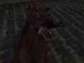 Igra Nacistična zombi vojska  spletu
