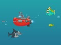 Igra Shark Dash spletu