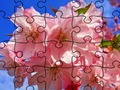 Igra Jigsaw Puzzle: cvetje  spletu