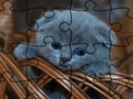 Igra Jigsaw Puzzle: mačke  spletu