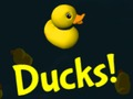Igra Duck!  spletu