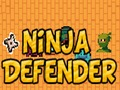 Igra Ninja branilec spletu
