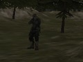 Igra FPS agencija: gozd  spletu