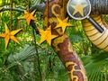 Igra Jungle Skrite zvezde  spletu
