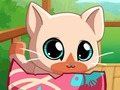 Igra Moj žepni hišni ljubljenčki Kitty Cat  spletu