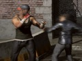 Igra Raging Punch 3D spletu