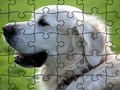 Igra Jigsaw Puzzle Udomačene živali  spletu