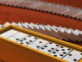Igra Domino Multiplayer spletu