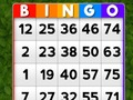 Igra Bingo spletu