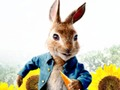 Igra Peter Rabbit: Težave v labirintu  spletu
