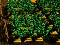 Igra Kmetija Pixel spletu