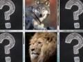 Igra Memory Match Jungle Živali  spletu