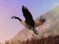 Igra Hunter za racami  spletu