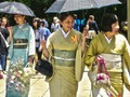 Igra 100 metuljev na Japonskem  spletu
