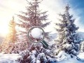 Igra Poiščite snežne kroglice  spletu