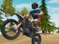 Igra Dirt Bike Enduro Racing spletu