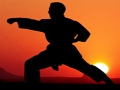 Igra Karate Sunset Warriors spletu